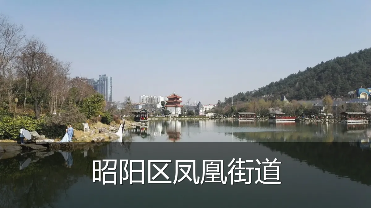 昭阳区凤凰街道