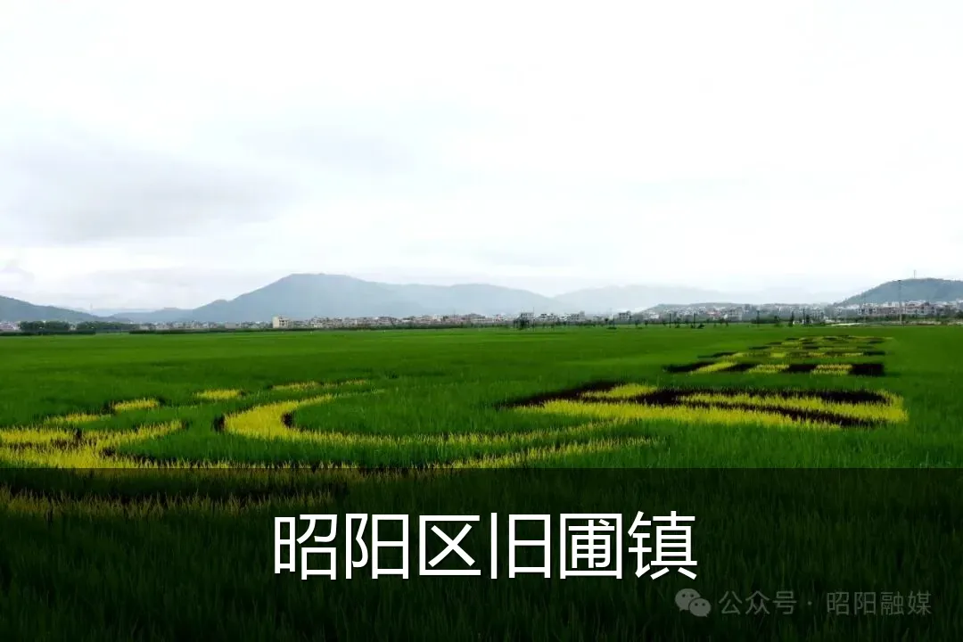 昭阳区旧圃镇