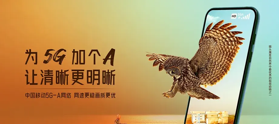 昭阳区昭阳区盘河镇 移动宽带
